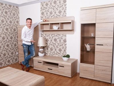 Фотография мизнона в салон у клиента дома Link 1